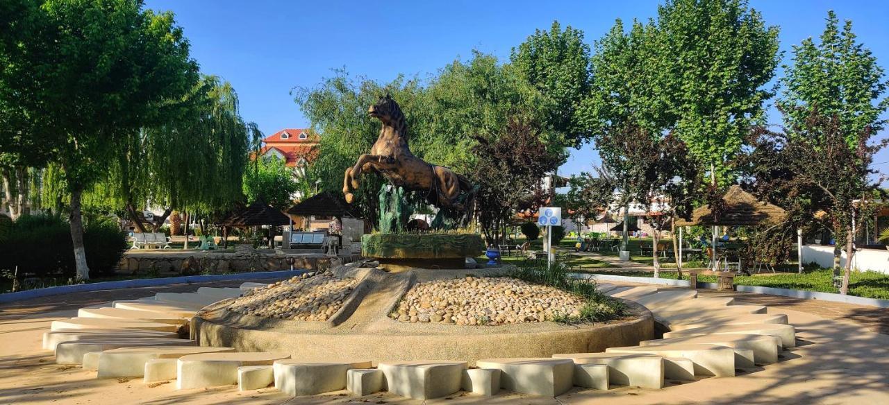Le Vallon Vert - Club Equestre Azrou Bagian luar foto